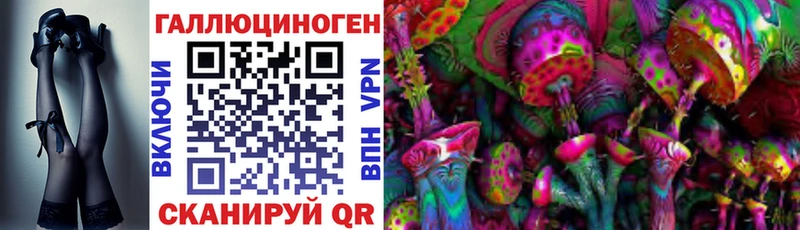 Купить где  Дзержинский  Галлюциногенные грибы Psilocybine cubensis 